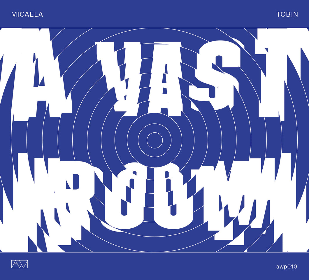 Micaela Tobin - A Vast Room CD